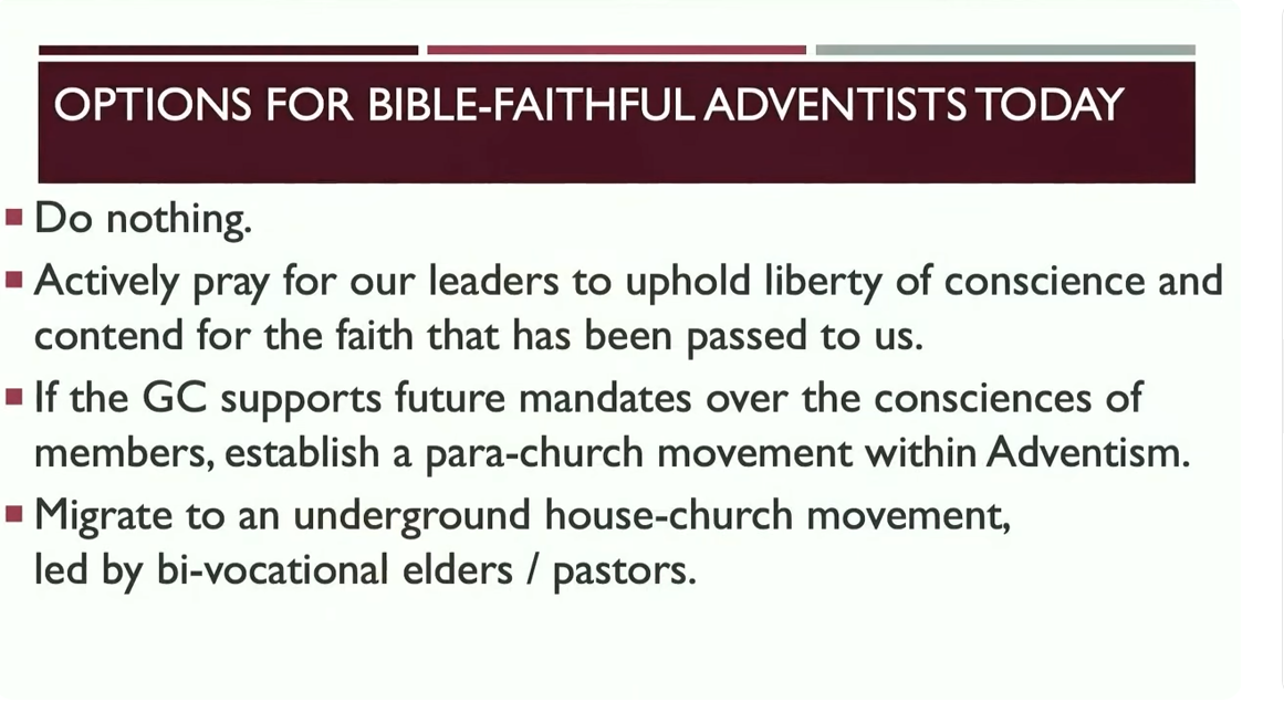 Slide titled "Options for Bible-Faithful Adventists Today