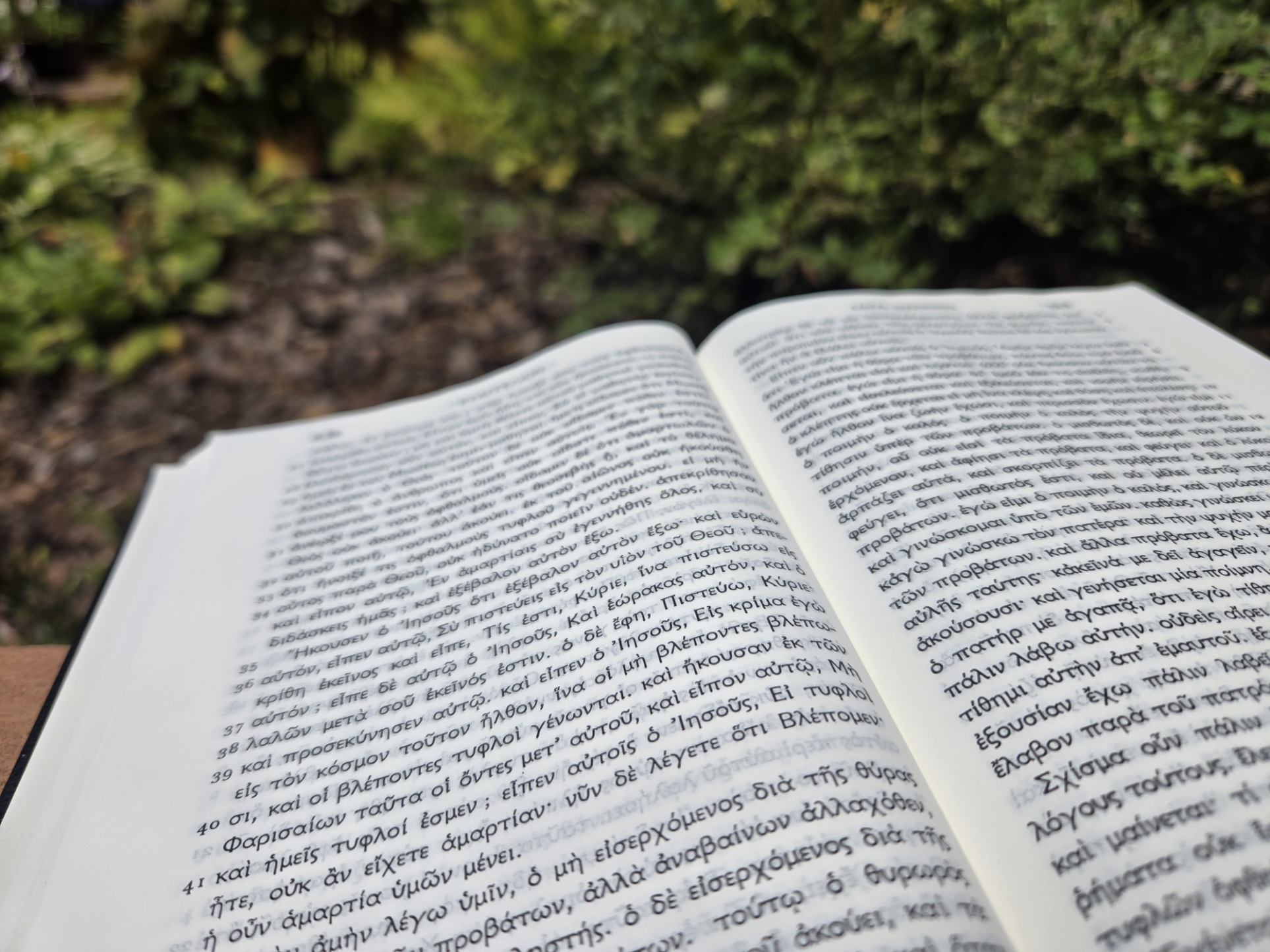 Open Greek Bible